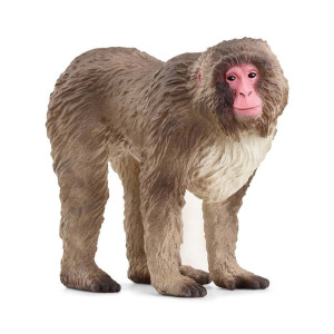 schleich® WILD LIFE Japanese Macaque 14871
