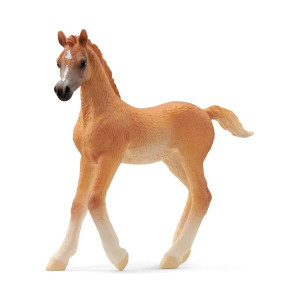 schleich® HORSE CLUB Arabi hevonen varsa 13984