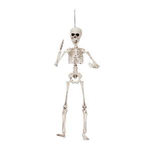 Halloween Skelett 50cm