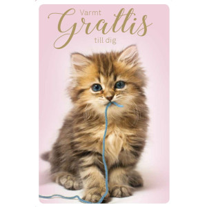 Onnittelukortti Kissanpentu