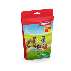 schleich® Pocket Set Piknik Lisan kanssa 42746