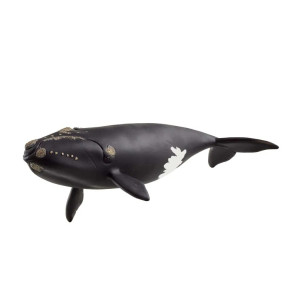 schleich® WILD LIFE North Atlantic Right Whale 14878