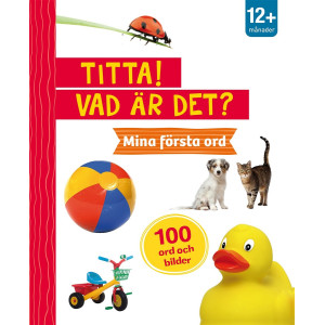 Titta! Vad är det? Mina första ord Pekbok med handtag