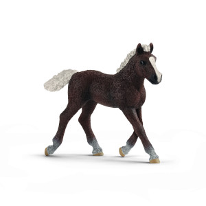 Schleich Black Forest Foal 13899
