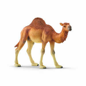 Schleich Wild Life Dromedary 14832