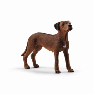 Schleich Farm World Rhodesian Ridgeback 13895